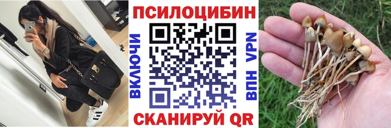 Галлюциногенные грибы Cubensis  Чистополь 