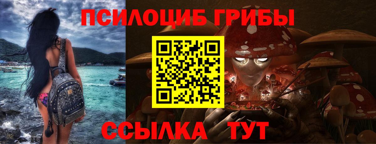 Галлюциногенные грибы Cubensis  Вход с VPN  Псилоцибиновые грибы Cubensis  Чистополь 